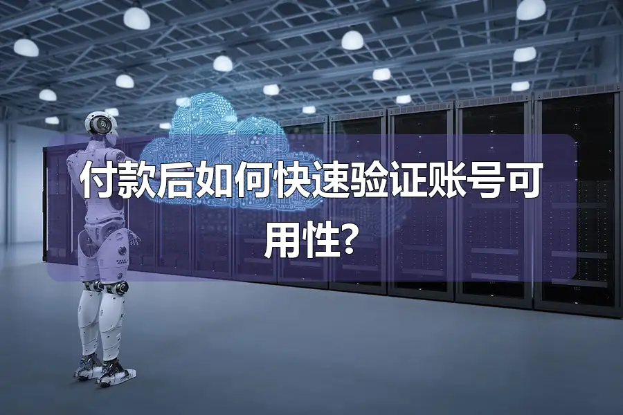 付款后如何快速验证账号可用性?